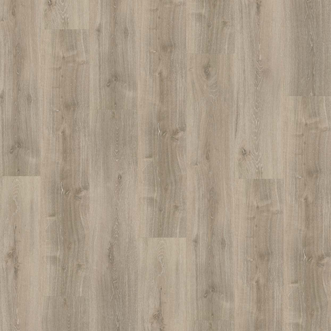 Bild von Vinylboden 'Basic 4.3' Eiche grau geweißt grau 4,3 mm