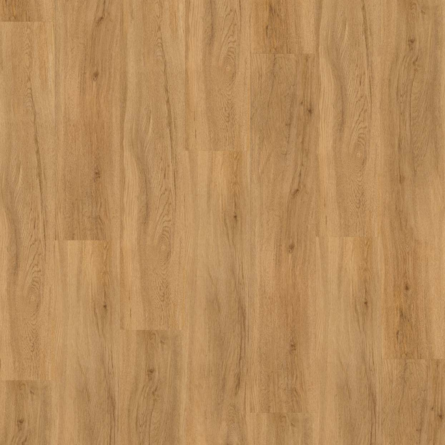 Bild von Vinylboden 'Basic 4.3' Eiche Sierra Natur braun 4,3 mm