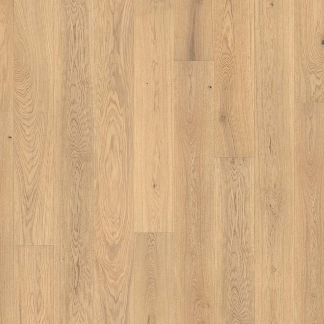 Bild von Parkett 'Basic 11-5' Eiche pure matt braun 11,5 mm