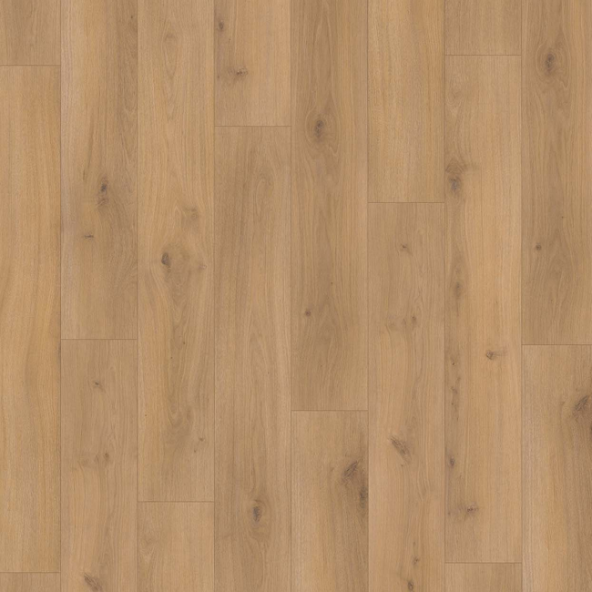 Bild von Laminat 'Basic 400' Euche Horizont Natur braun 8 mm