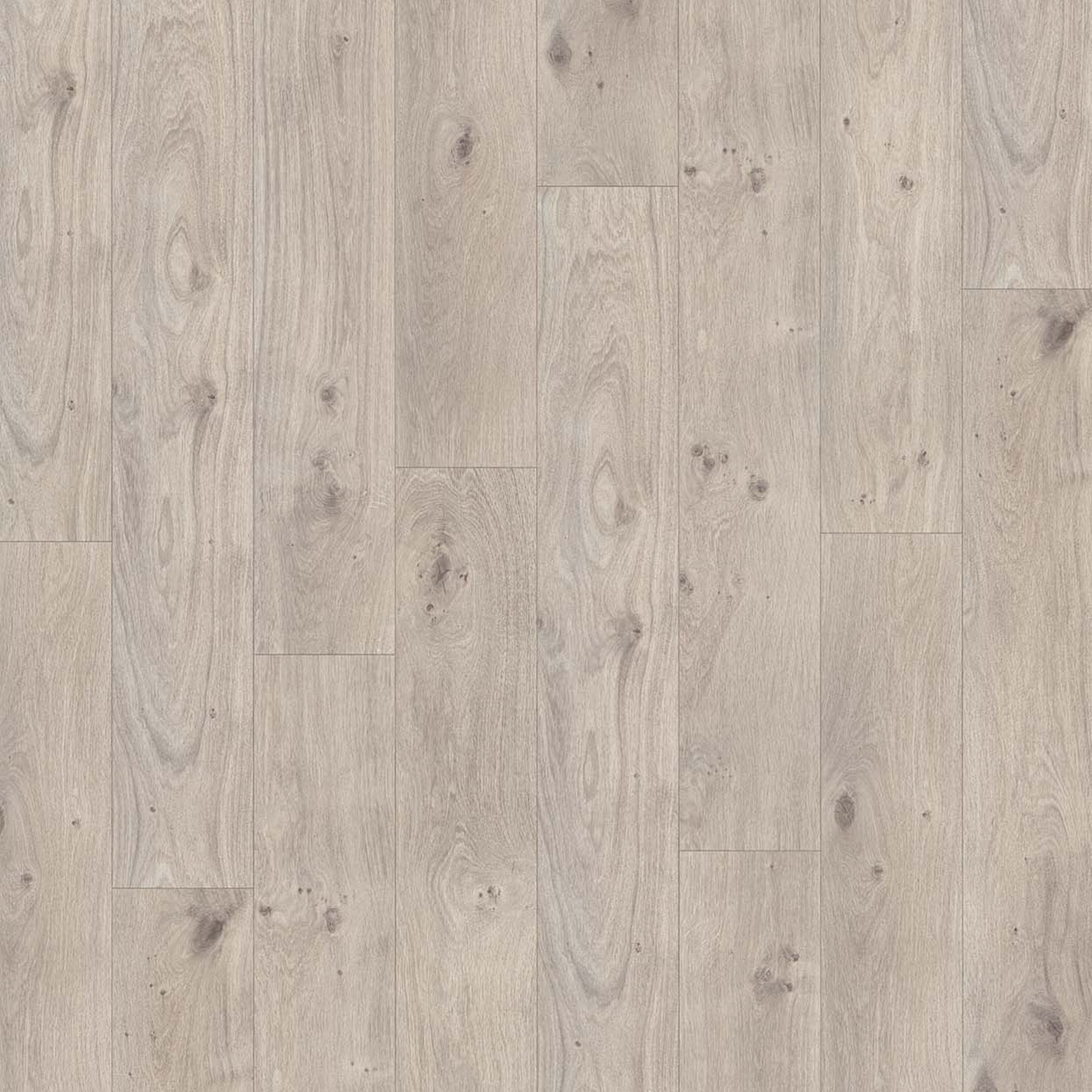 Laminat 'Basic 200' Eiche Natur grau braun 7 mm