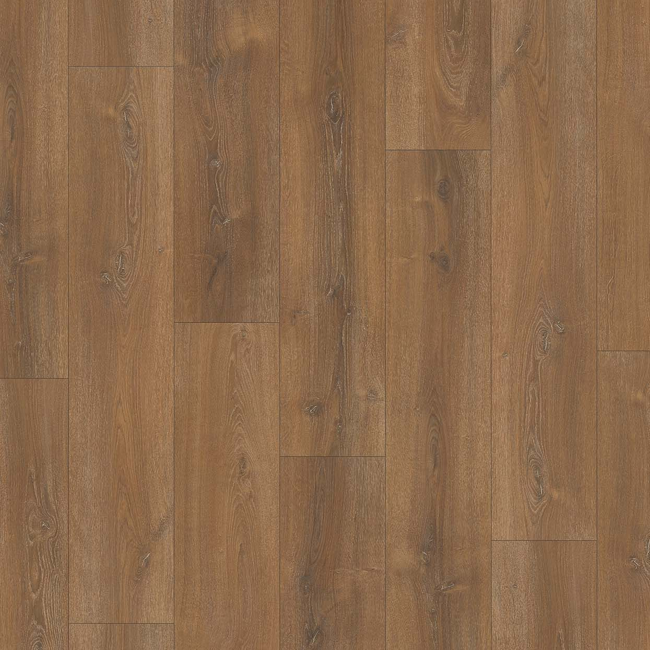 Bild von Laminat 'Basic 600' Eiche Montana gekälkt braun 8 mm