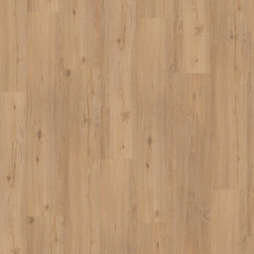 Heller Holzboden Eiche geschliffen
