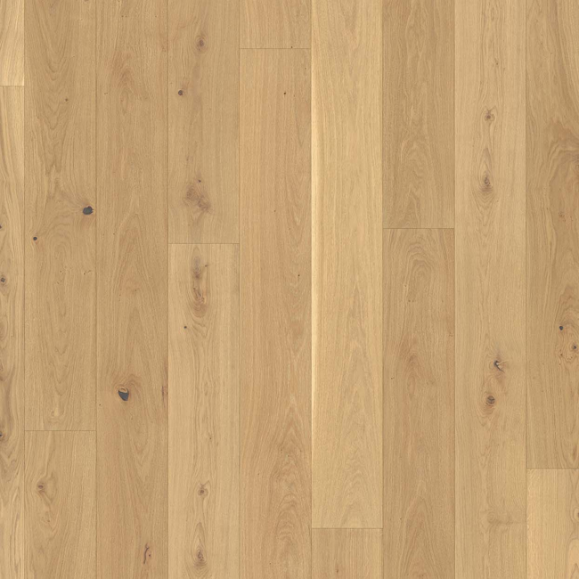 Bild von Parkett 'Basic 11-5' Eiche weiß matt weiß 11,5 mm