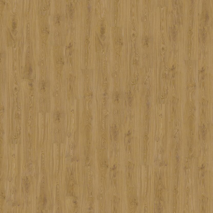 Designboden Oak Nature Corklife Nahaufnahme