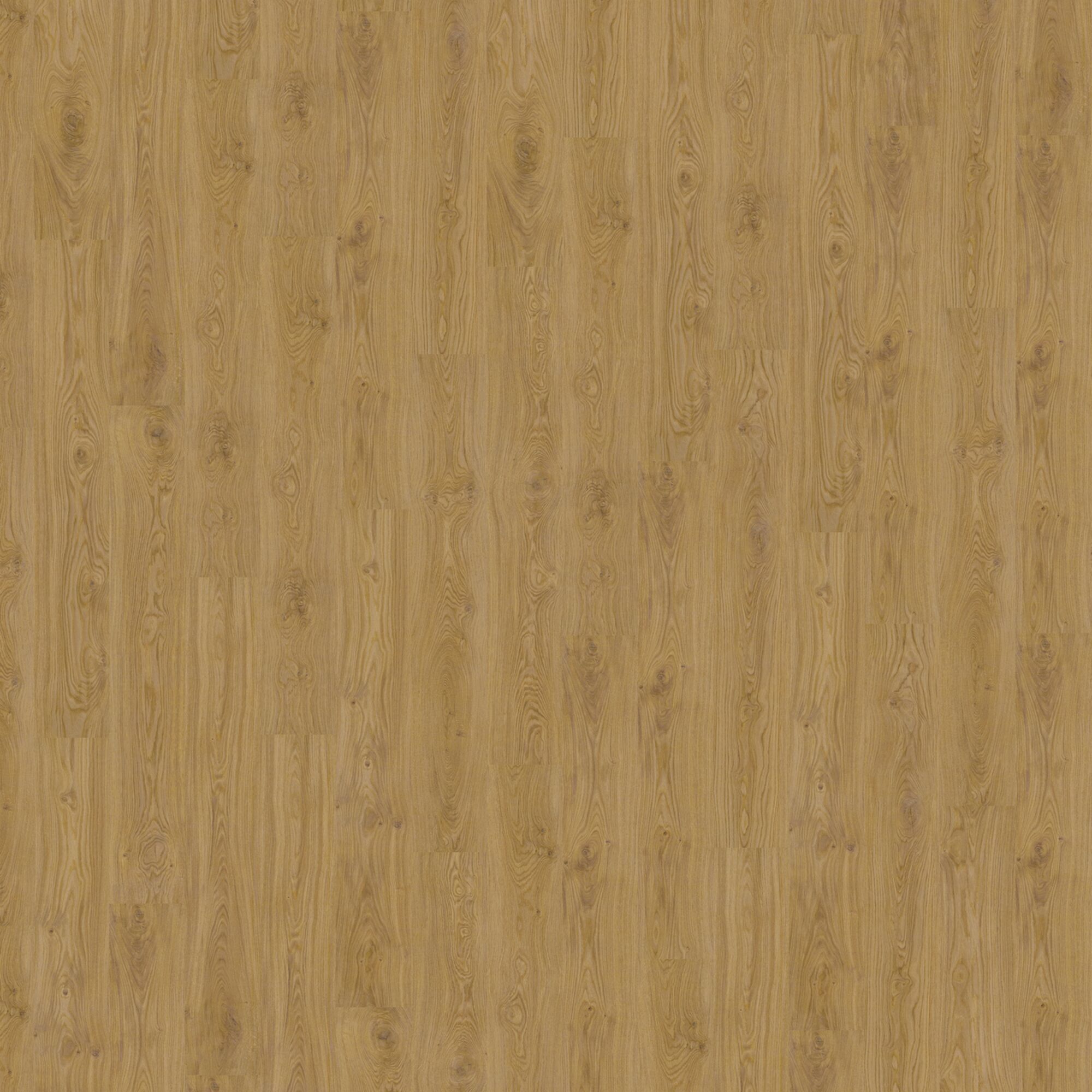 Designboden Oak Nature Corklife Nahaufnahme