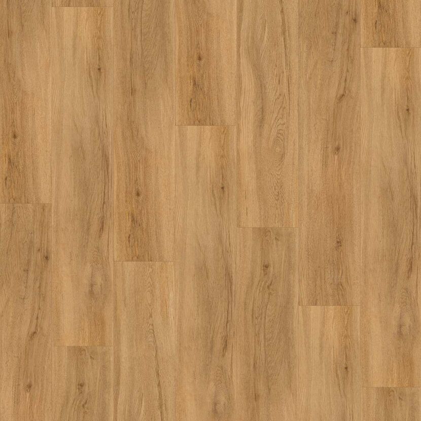 Designboden Basic 5.3 Eiche Sierra natur