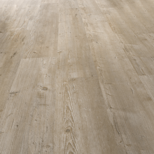Bild von Vinylboden 'Aqua Base' Authentic Oak Light eichefarben hell 5,2 mm