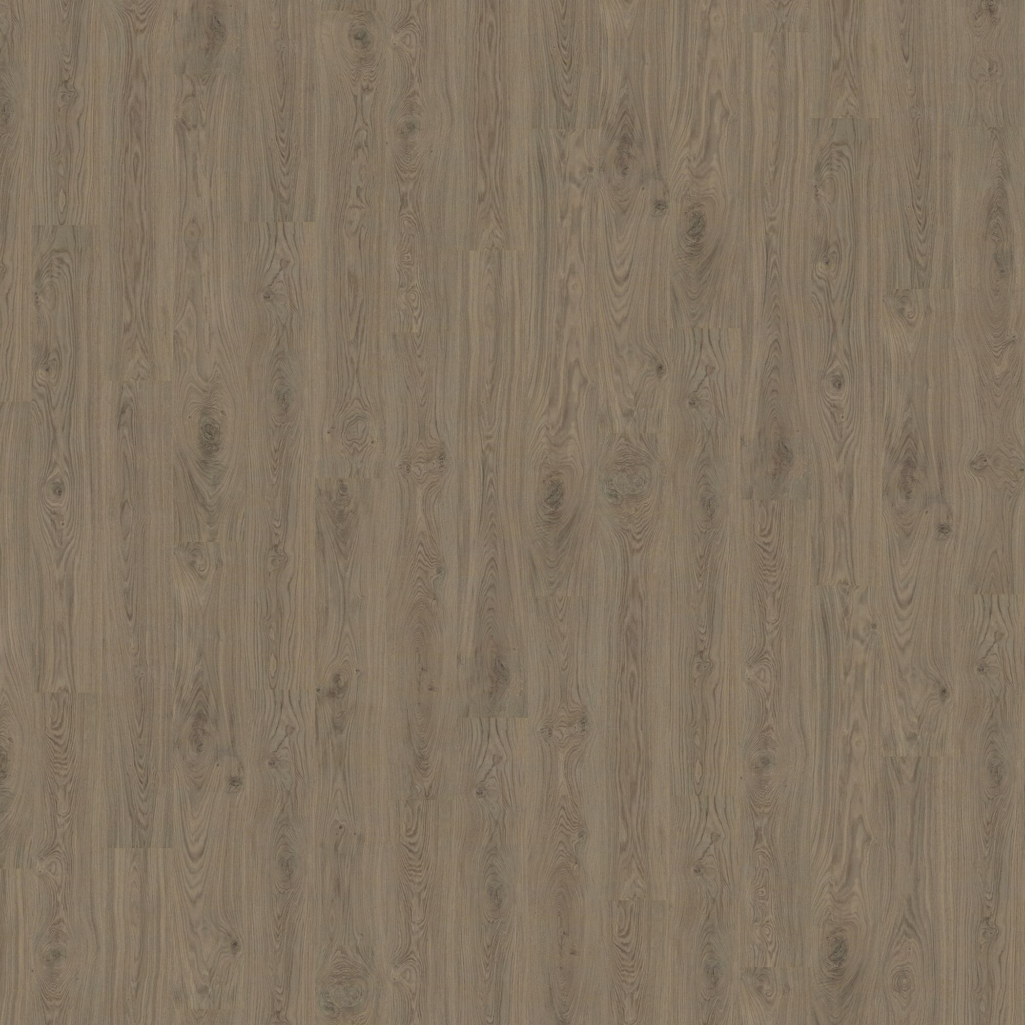 Designboden Oak Copper Corklife