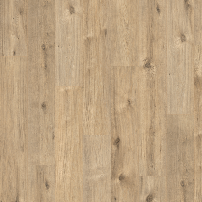 Bild von Laminat 'Basic' EBL006 Eiche braun 7 mm