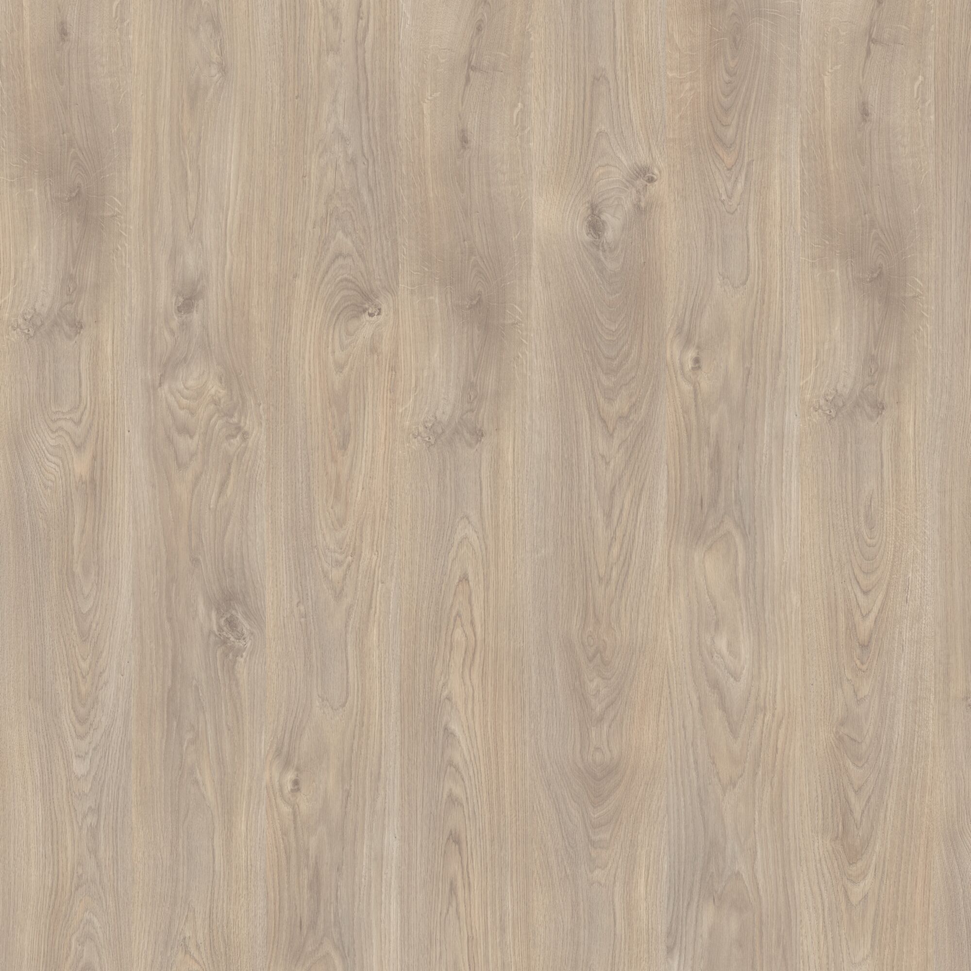 Laminat Basic 7 mm Belfort Eiche silber