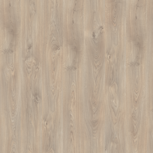 Bild von Laminat 'Basic' EBL020 Belfort Eiche grau 7 mm