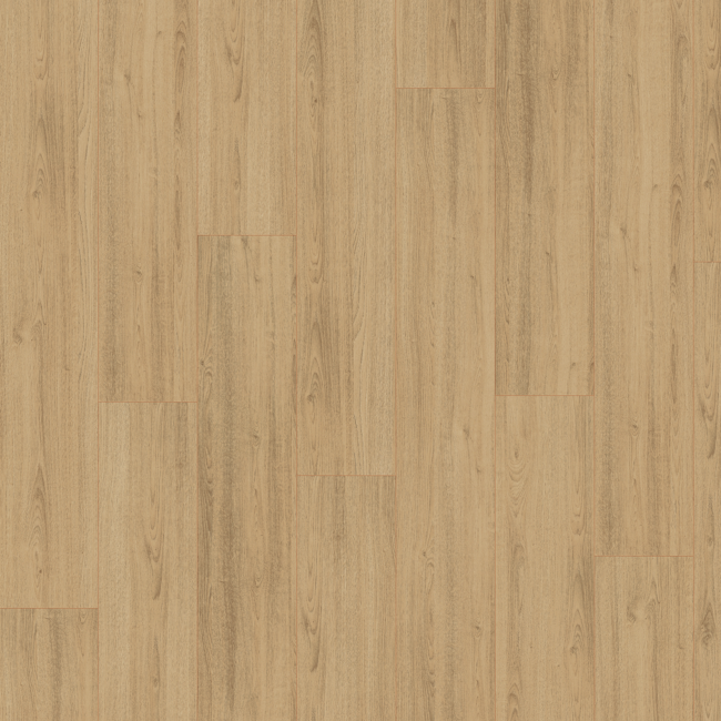Bild von Laminat 'Basic' EBL043 Charlotte Eiche natur braun 7 mm