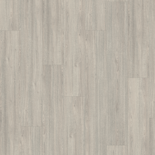 Bild von Laminat 'Basic' EBL044 Charlotte Eiche hellgrau hellgrau 7 mm