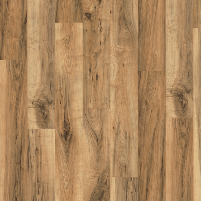 Bild von Laminat 'Home Aqua+' EHL075 Perganti Nussbaum dunkelbraun 8 mm