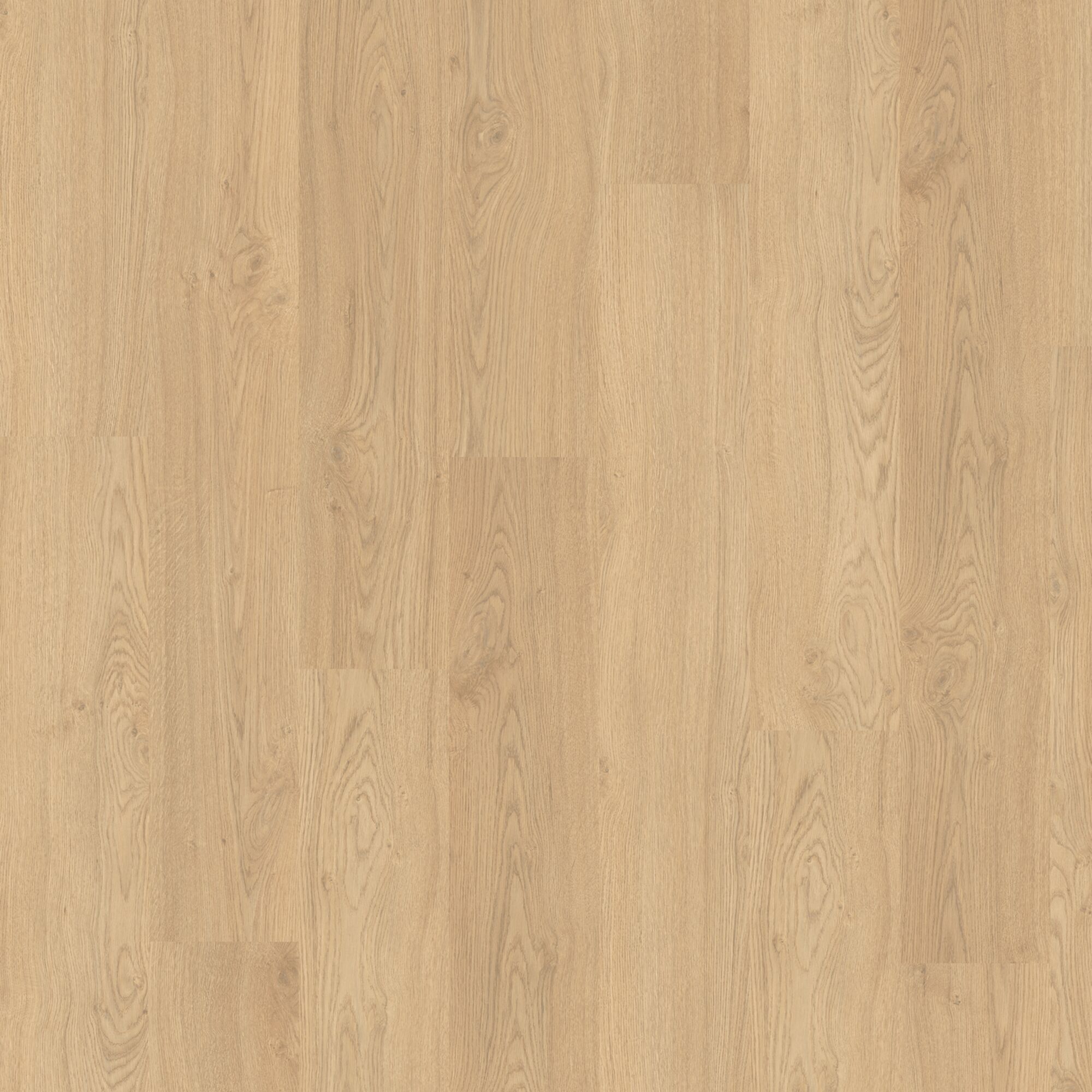 Helles Laminat Matera Eiche hell