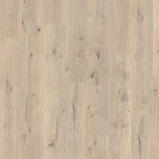 Bild von Laminat 'Home' EHL135 Repino Eiche hellbraun 8 mm