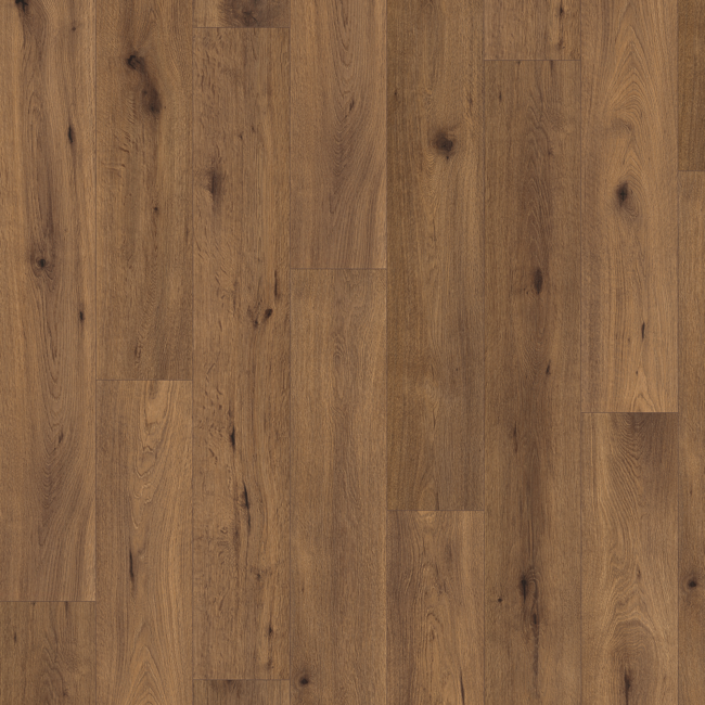 Bild von Laminat 'Home' EHL148 Inuvik Eiche dunkelbraun 7 mm