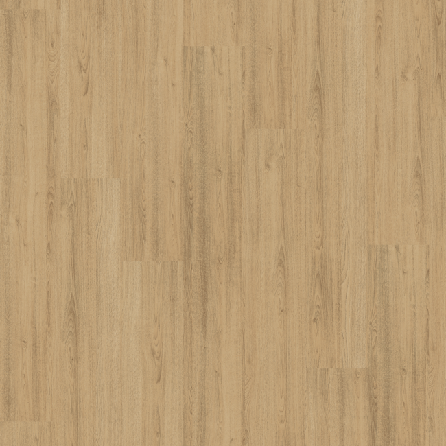 Bild von Laminat 'Home' EHL164 Forres Eiche natur braun 7 mm