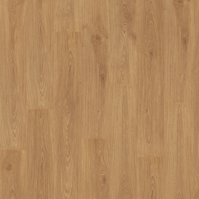 Bild von Laminat 'Home' EHL176 Dallas Eiche honig braun 8 mm