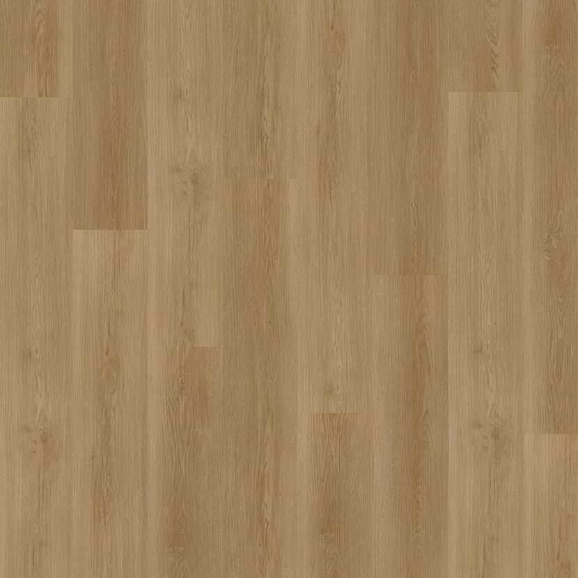 Vinylboden One Basic 4,5 mm Weserpark