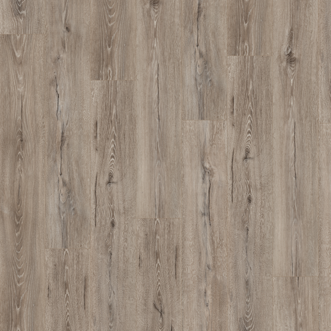 Bild von Laminatboden EL1006 Melba Eiche grau 7 mm