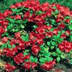 hauptbild