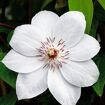hauptbild