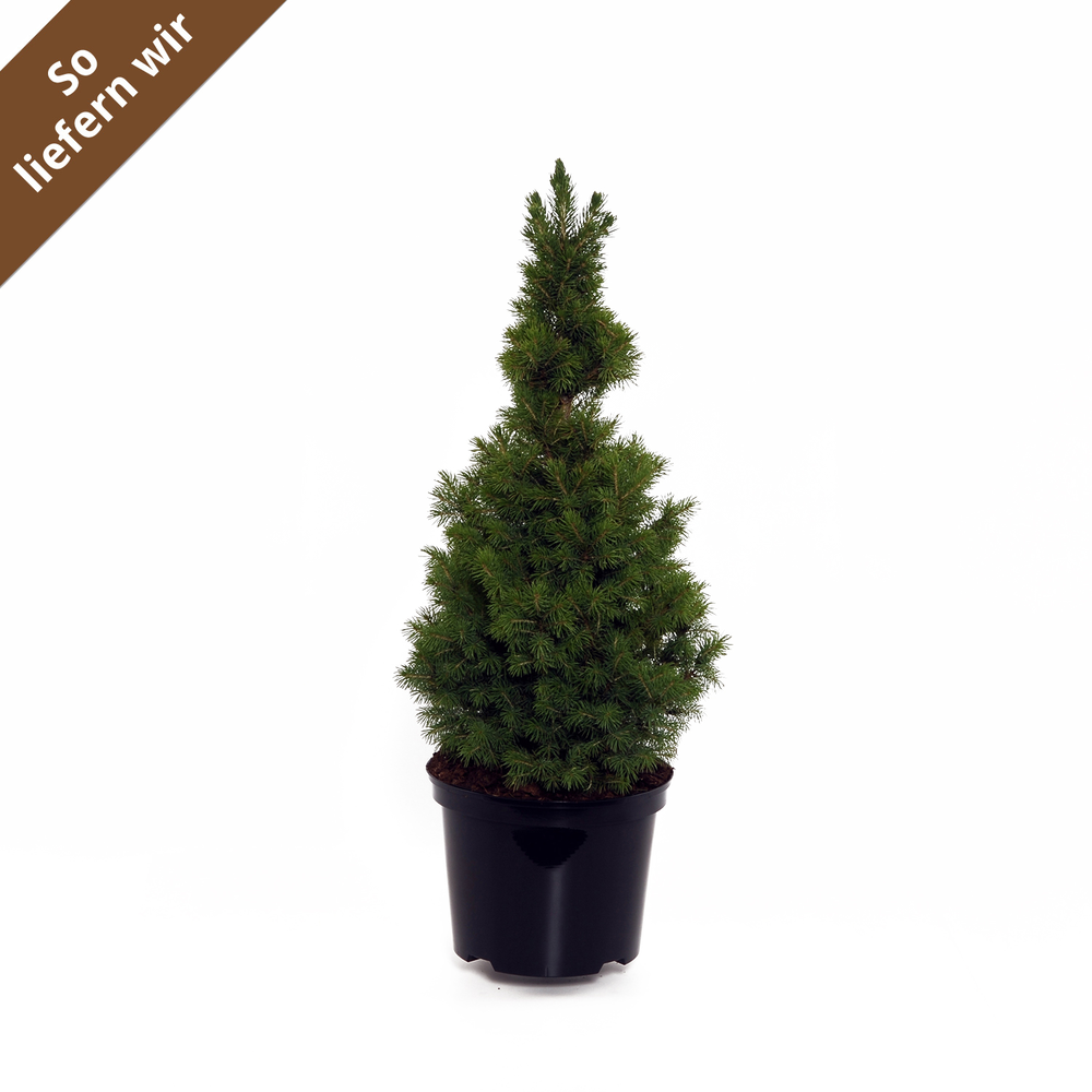 Toom Baumarkt Boblingen Prospekt Aktuelle Angebote Oktober 2020 Prospektecheck De