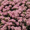 hauptbild