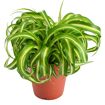 hauptbild