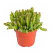 hauptbild
