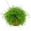 hauptbild