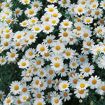 hauptbild