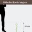 Pflanze ca. 50 cm hoch neben einer Person