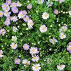 hauptbild