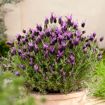 hauptbild