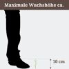 Maximale Wuchshöhe ca. 10 cm