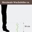 Eine Pflanze ist 30 cm hoch.