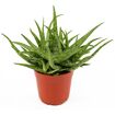 hauptbild
