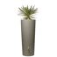 Regentank Natura 2in1 Arctic mit Pflanze