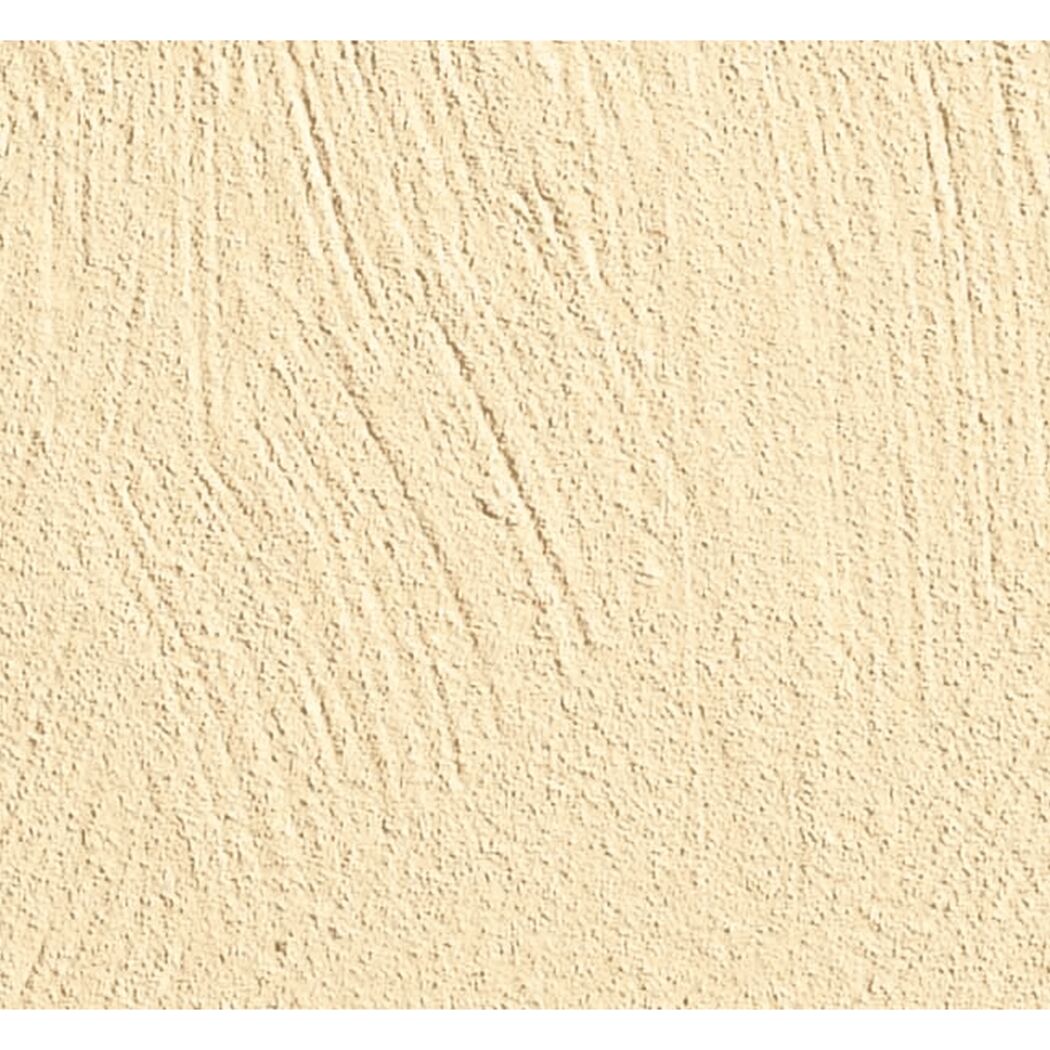 Farbpulver 'Compact Color' honiggelb 2 g