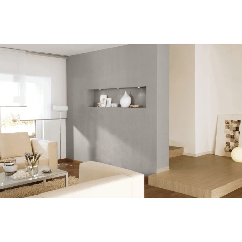 Wohnzimmer mit grauer Wand und Deko-Nische
