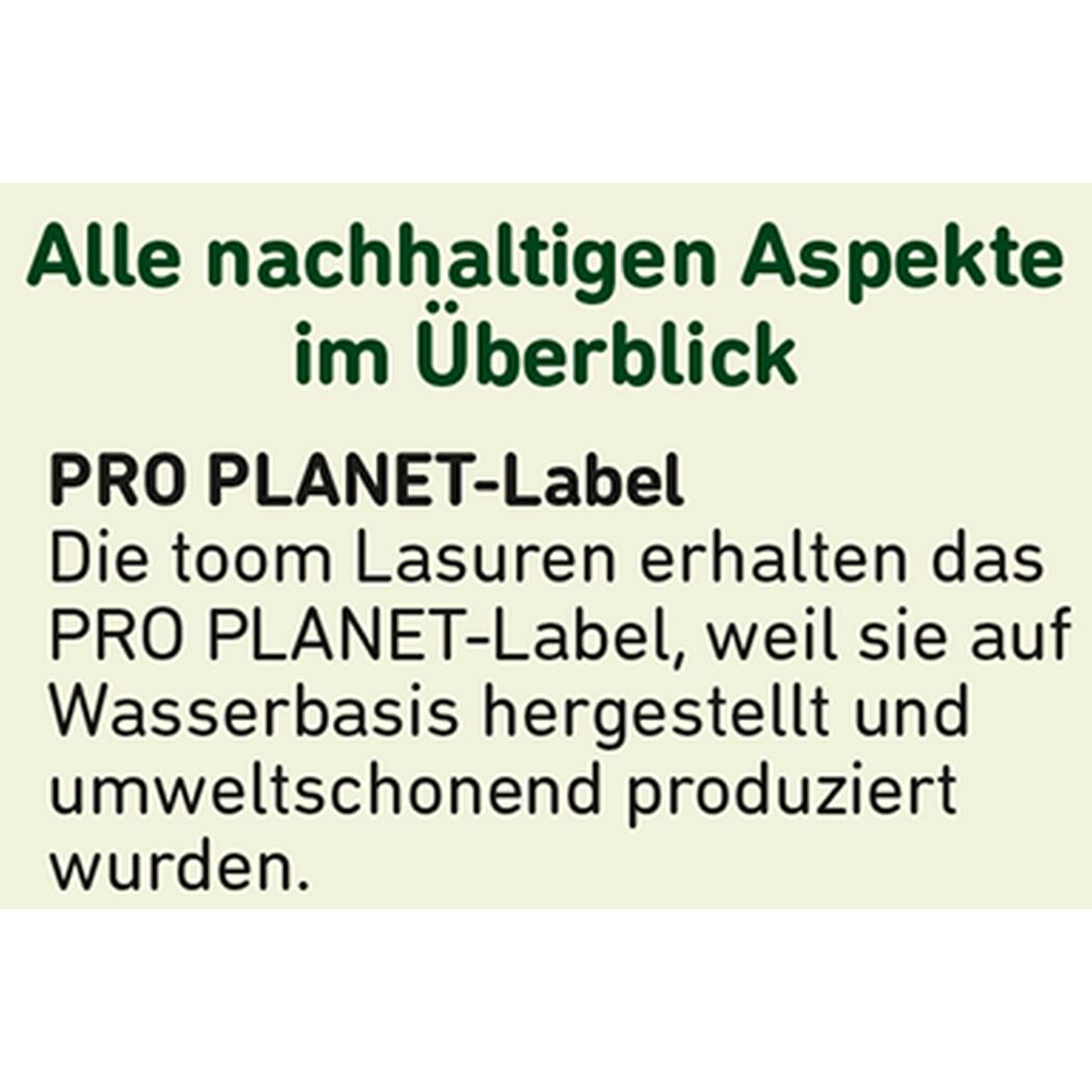 Treppen- und Parkett-Versiegelung transparent 2,5 l