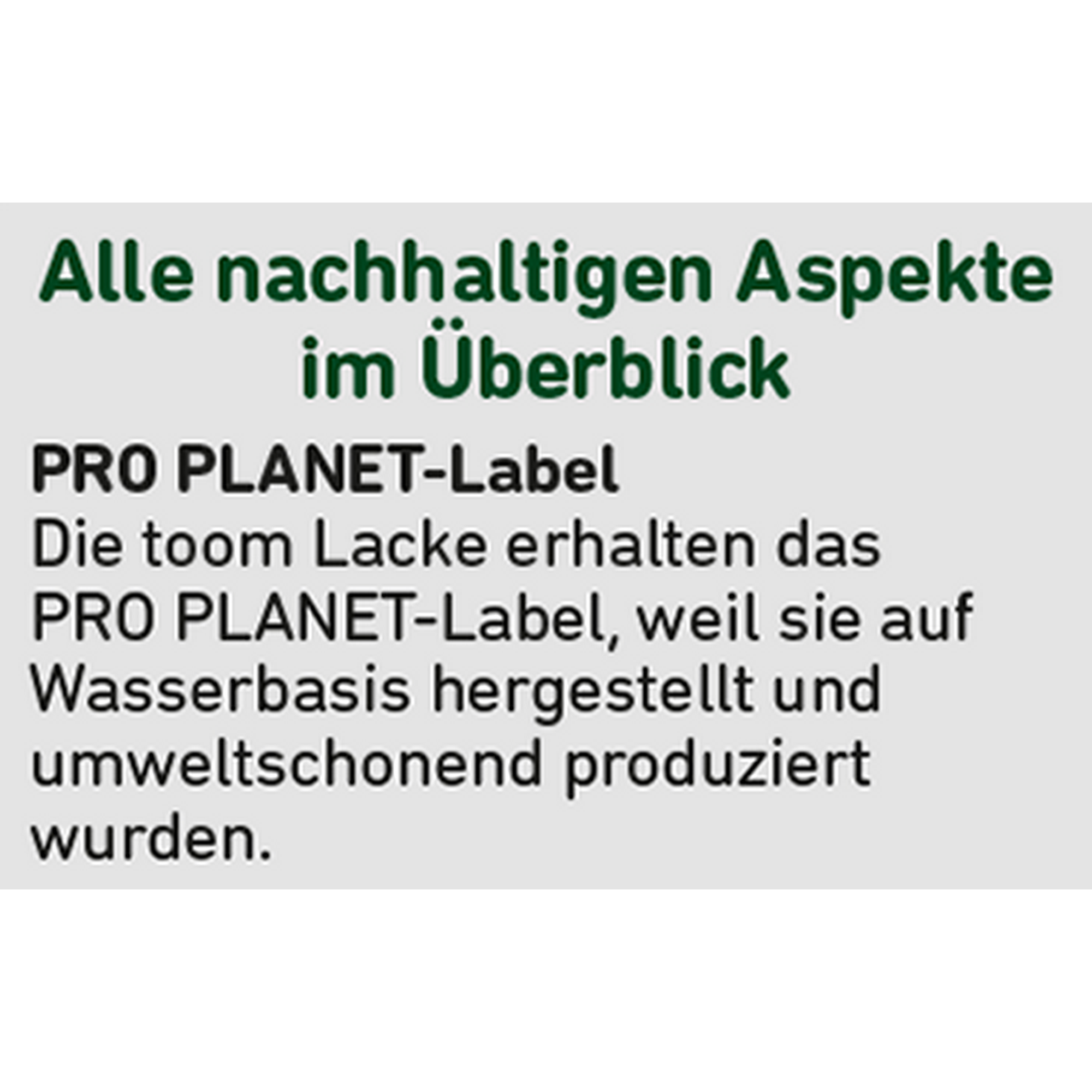 Schultafel-Lack grün matt 750 ml + product picture