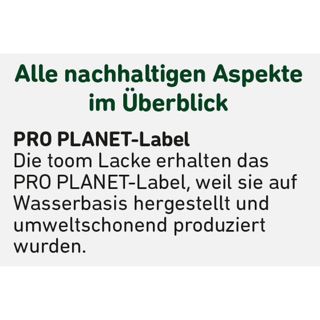 Rostschutzgrundierung grau 2,5 l