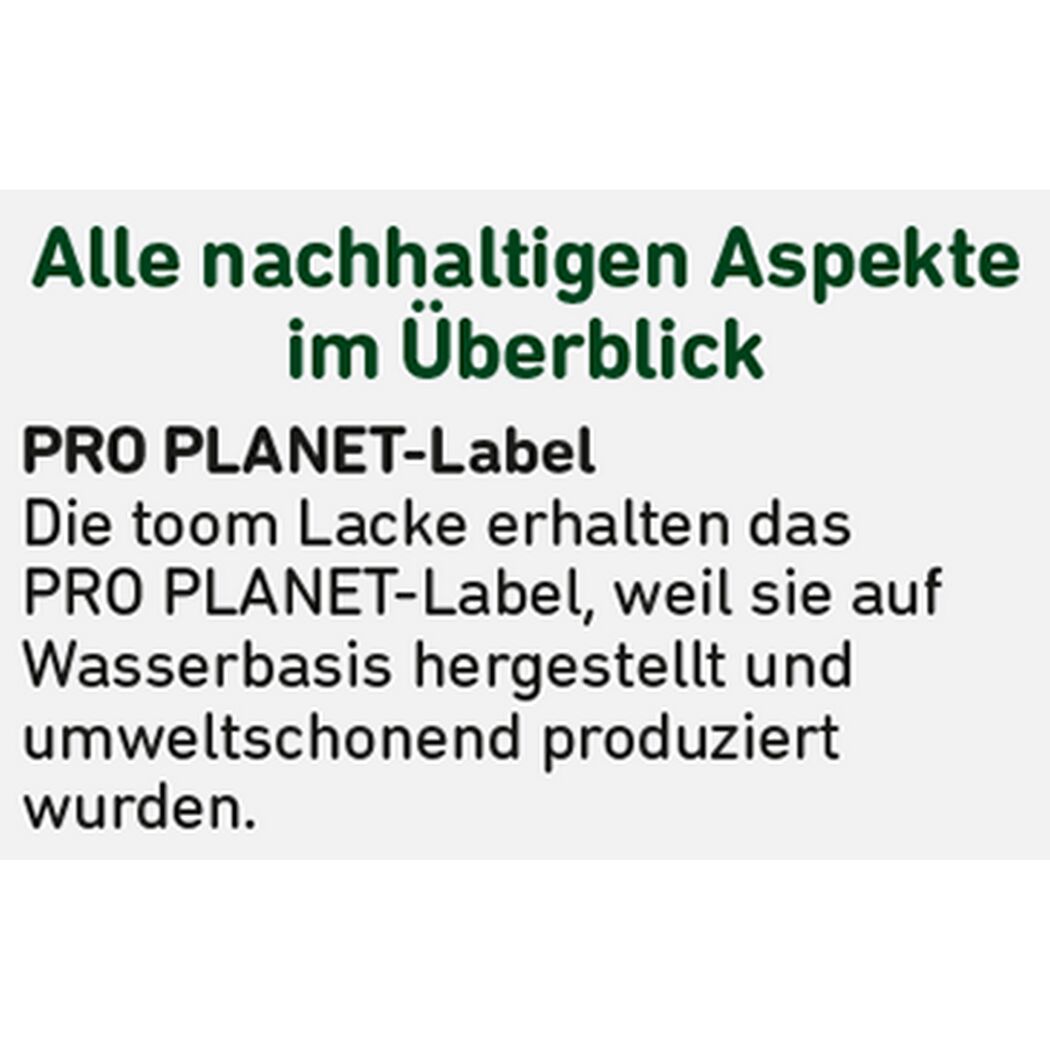 Kunststoffgrundierung weiß 750 ml