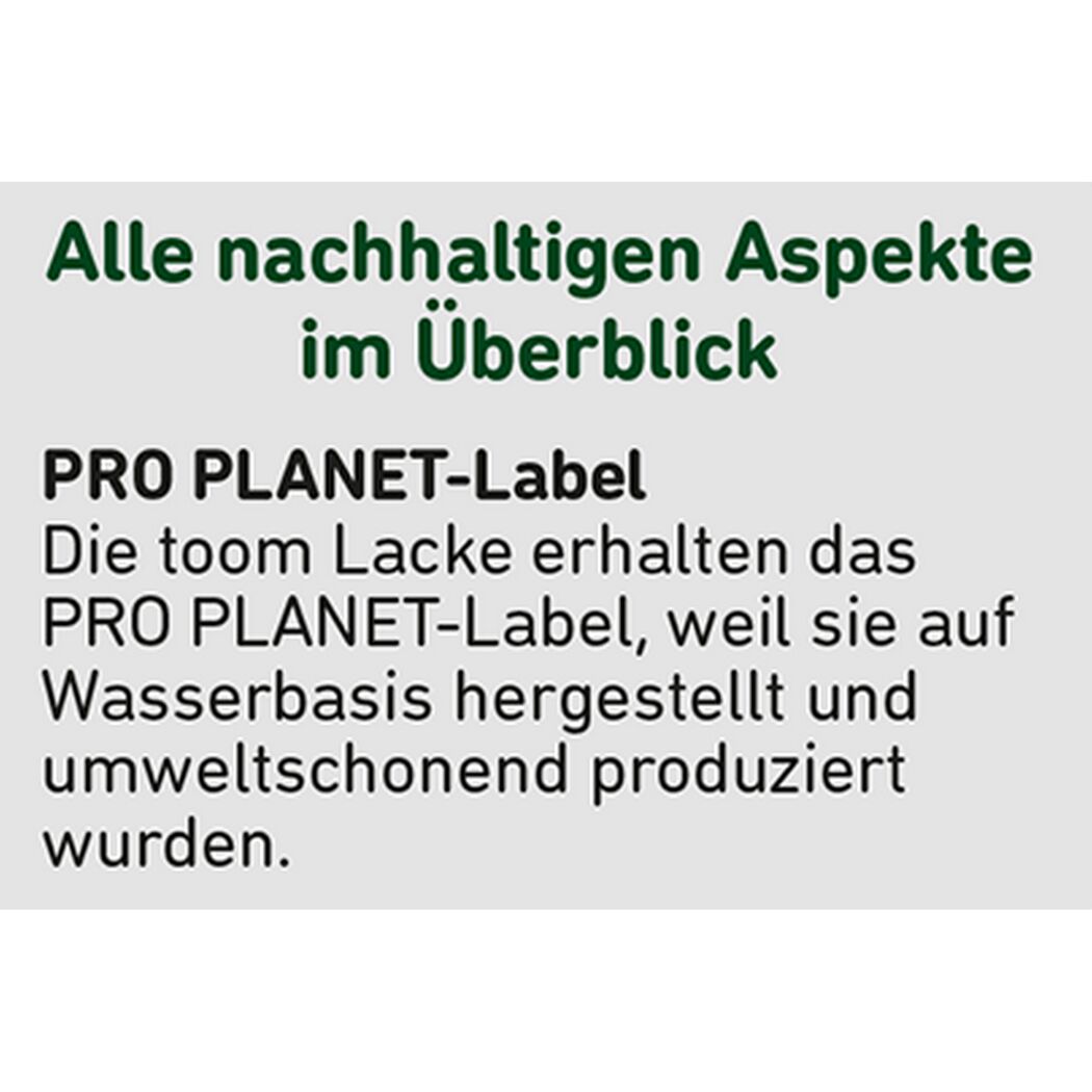 2in1 Heizkörperlack weiß glänzend 2,5 l