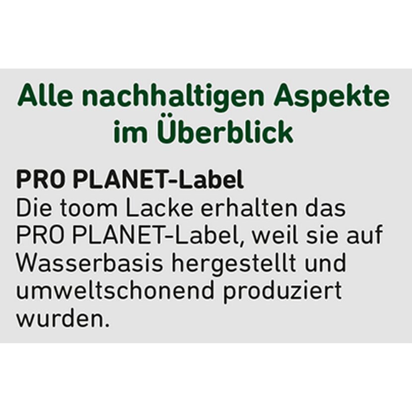 2in1 Heizkörperlack weiß glänzend 2,5 l