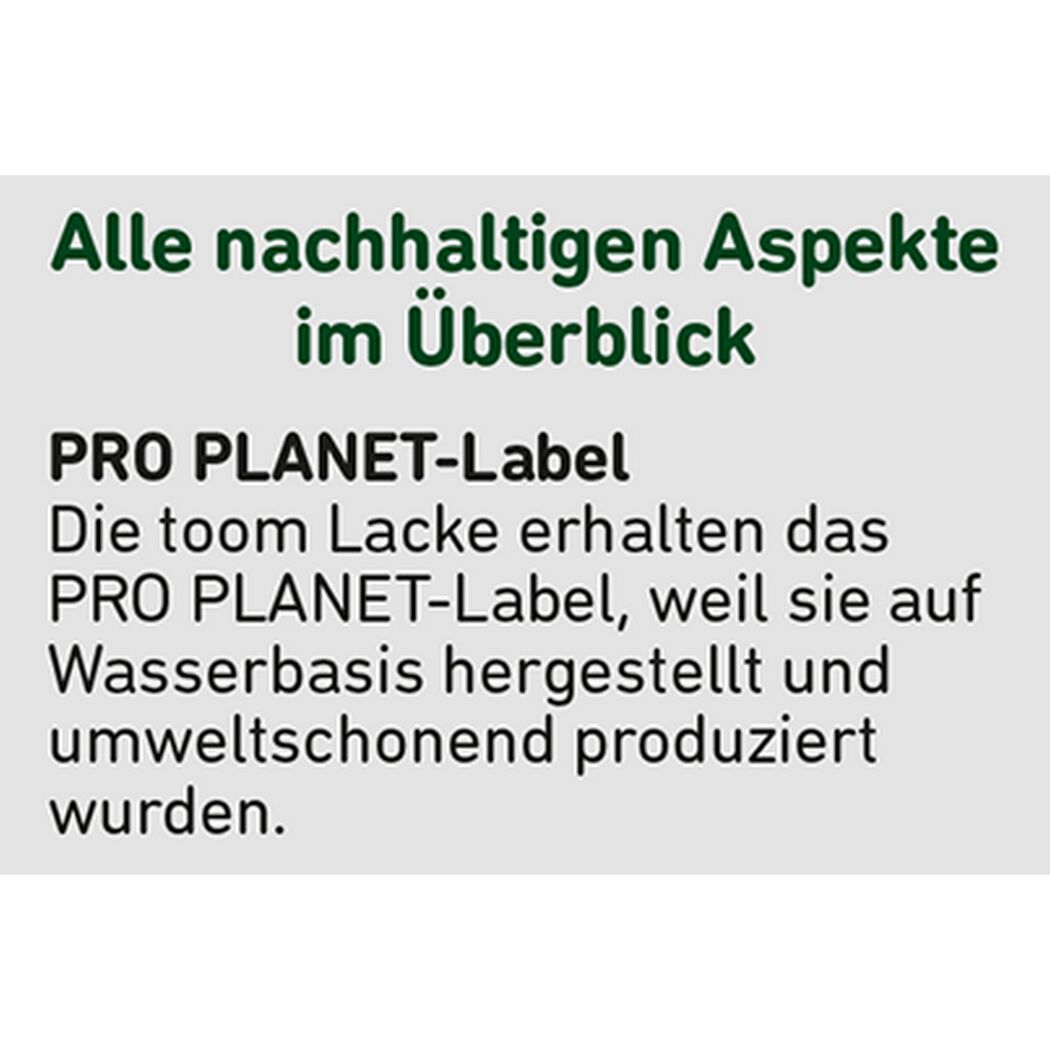 2in1 Fenster- und Türenlack weiß glänzend 2,5 l